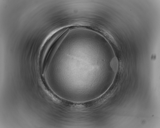 X0000090770784200707201437