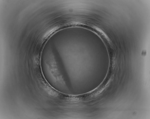 X0000090770785200707201437