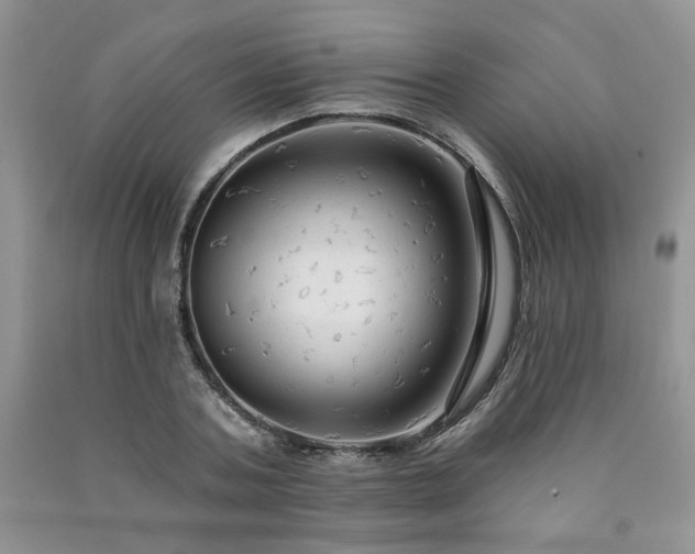 X0000090770787200707201437