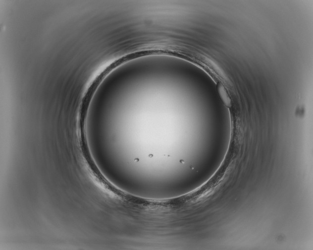 X0000090770788200707201437