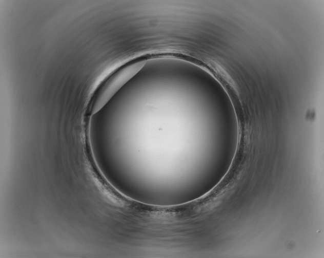 X0000090770789200707201437