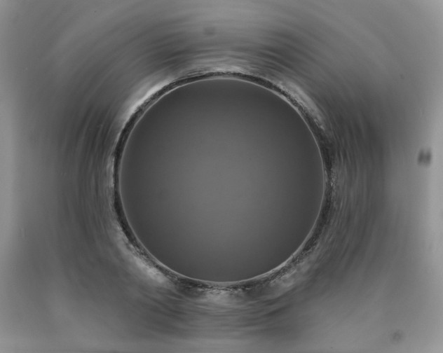 X0000090770790200707201437