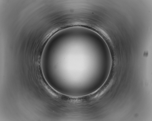 X0000090770793200707201437