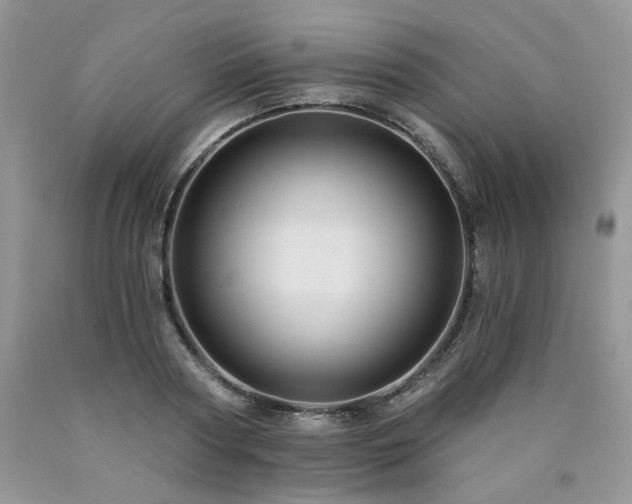 X0000090770794200707201437