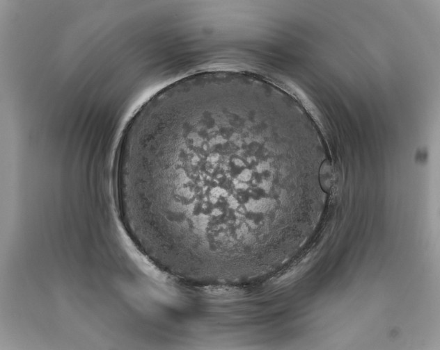 X0000090770795200707201437