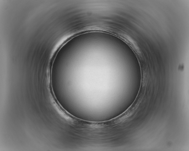 X0000090770796200707201437