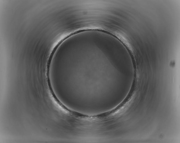 X0000090770797200707201437