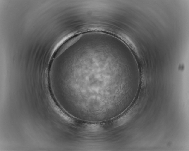 X0000090770798200707201437