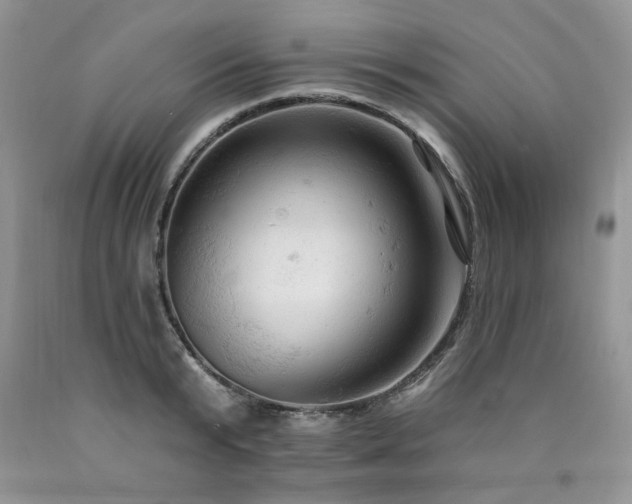 X0000090770799200707201437