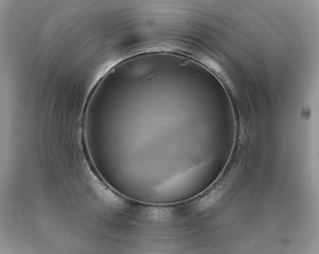 X0000090770802200707201437