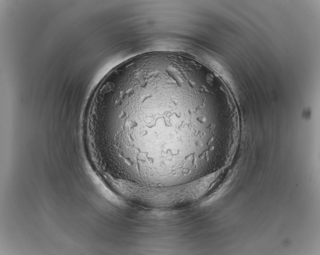 X0000090770803200707201437