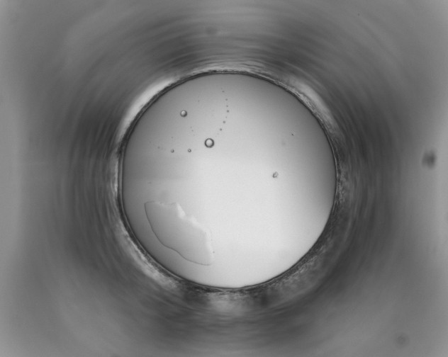 X0000090770804200707201437