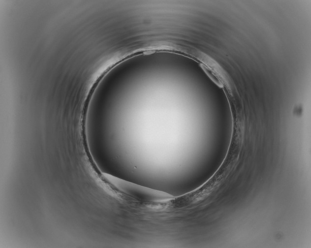 X0000090770805200707201437