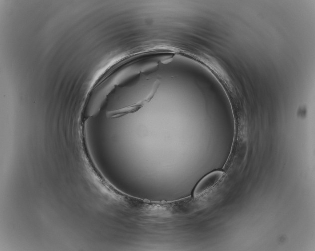 X0000090770806200707201437