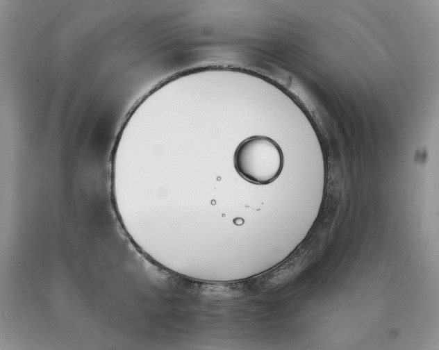 X0000090770807200707201437