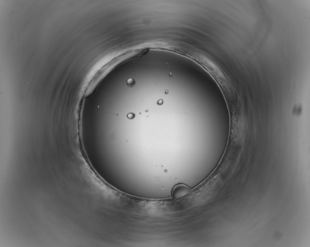 X0000090770808200707201437