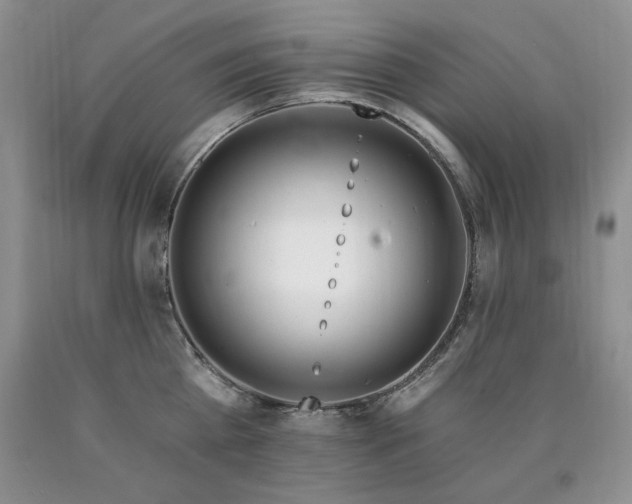 X0000090770809200707201437
