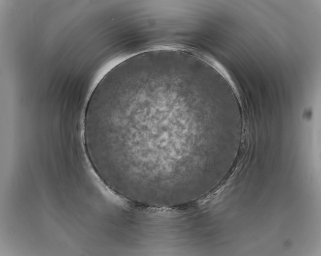 X0000090770811200707201437