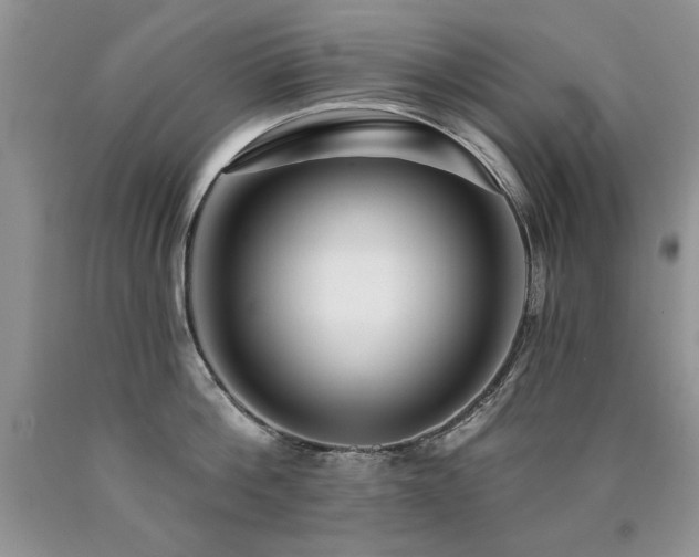 X0000090770812200707201437
