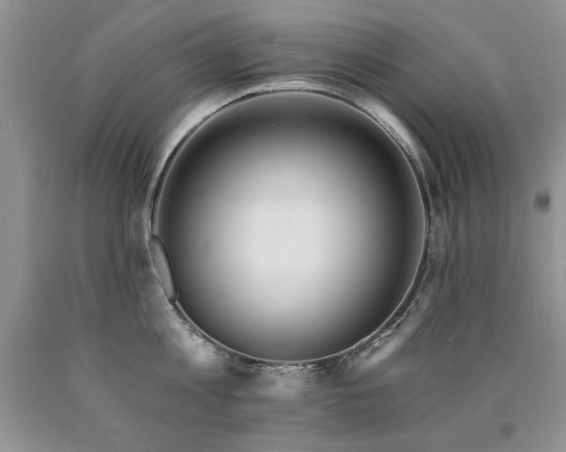 X0000090770813200707201437