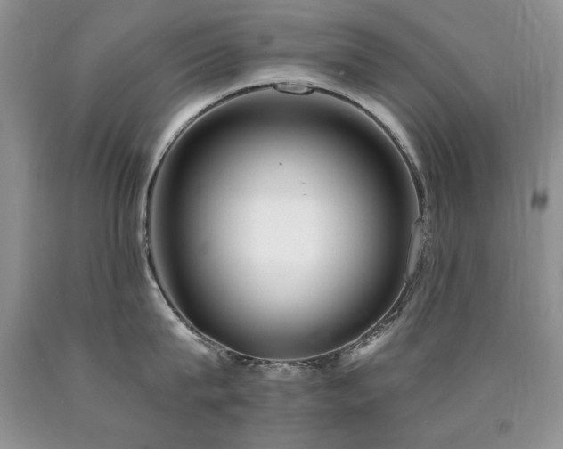 X0000090770815200707201437