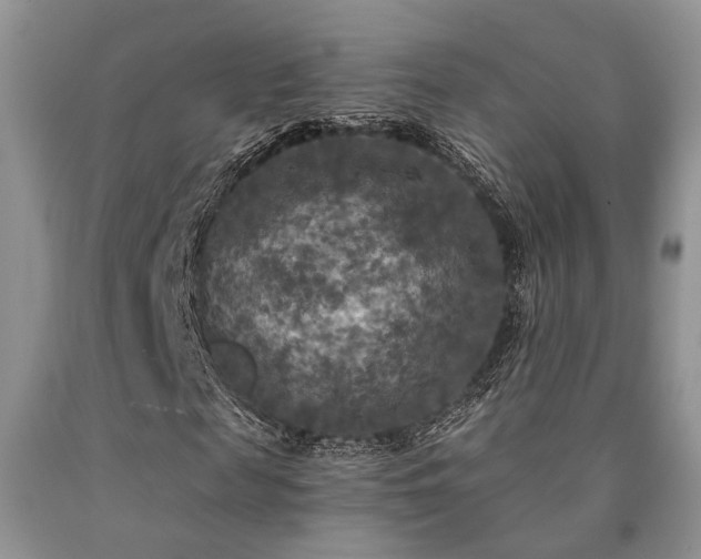 X0000090770817200707201436