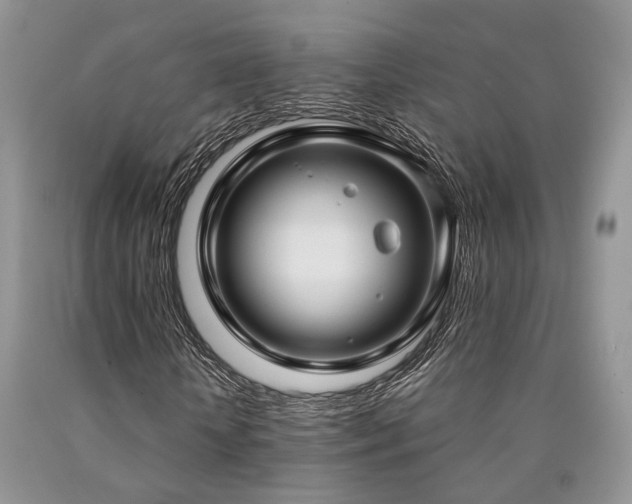 X0000090770818200707201436