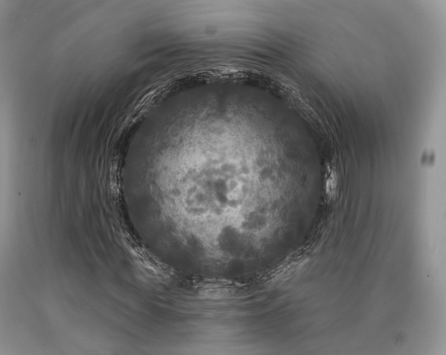X0000090770819200707201436