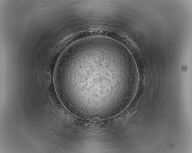 X0000090770821200707201437