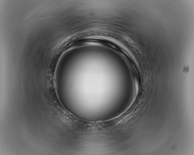 X0000090770822200707201437