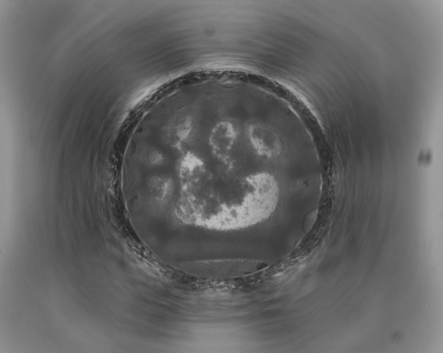 X0000090770823200707201437