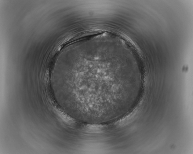 X0000090770825200707201437