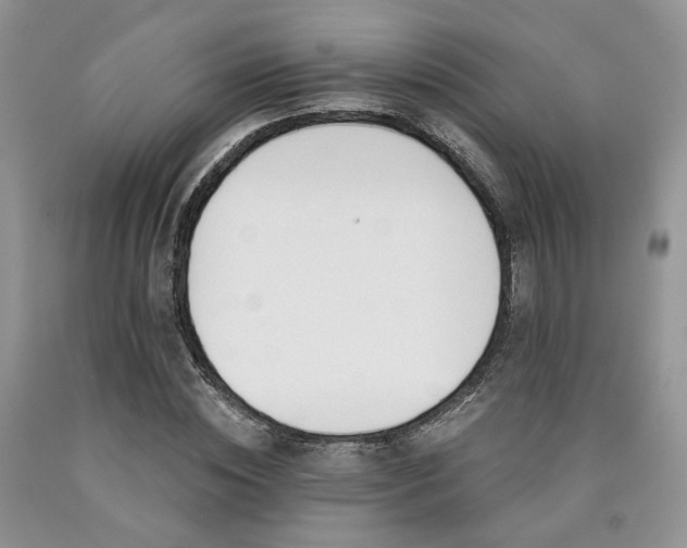 X0000090770828200707201437