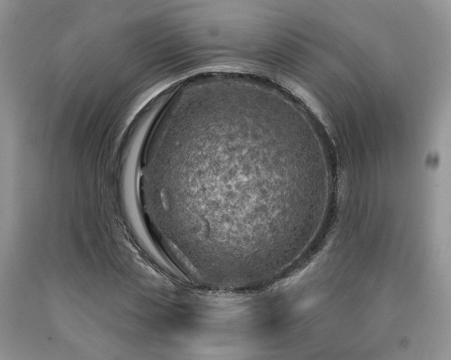 X0000090770829200707201437