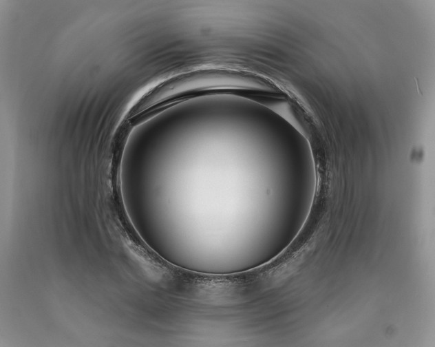 X0000090770830200707201437
