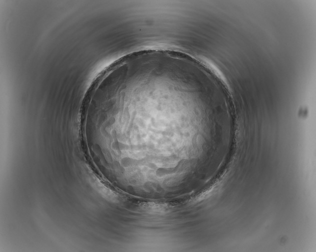 X0000090770831200707201437
