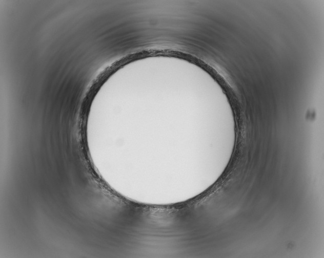 X0000090770832200707201437