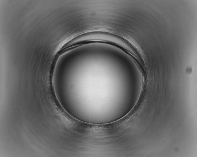 X0000090770834200707201437