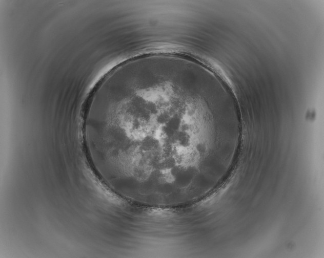 X0000090770835200707201437