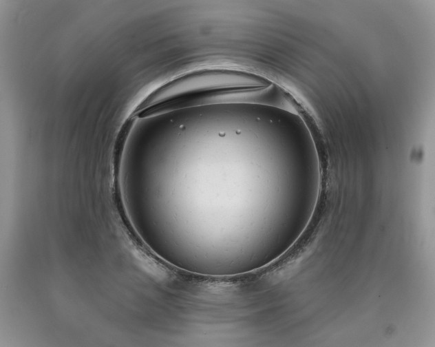 X0000090770837200707201437