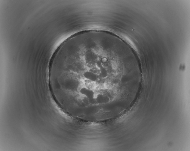 X0000090770839200707201437