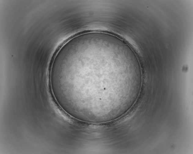 X0000090770840200707201437