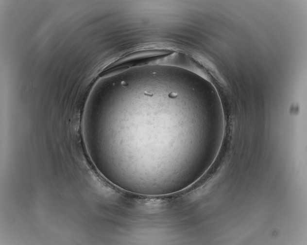 X0000090770841200707201437
