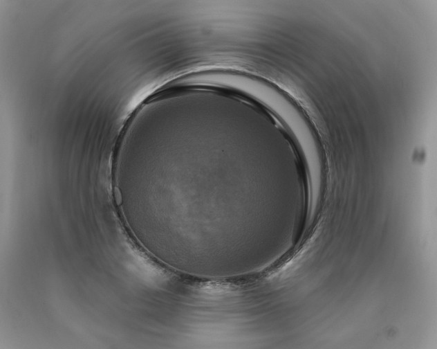 X0000090770842200707201437