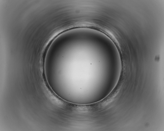 X0000090770843200707201437