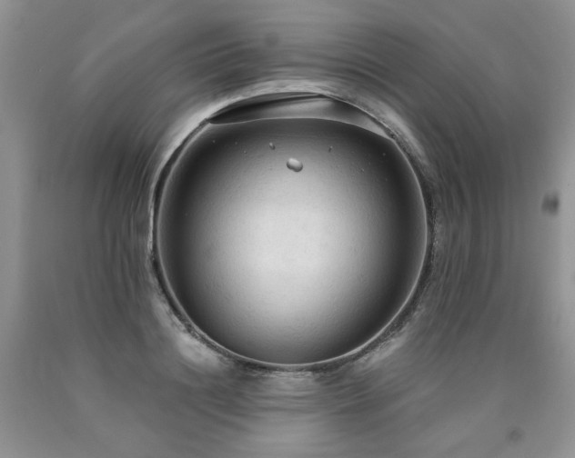 X0000090770844200707201437