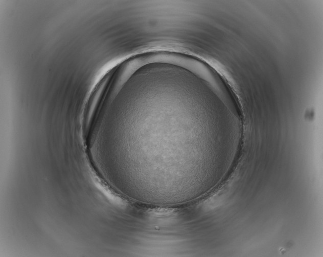 X0000090770846200707201437