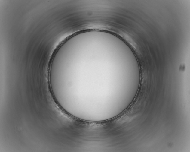 X0000090770848200707201437