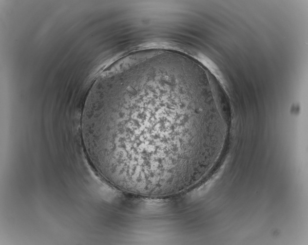 X0000090770849200707201437