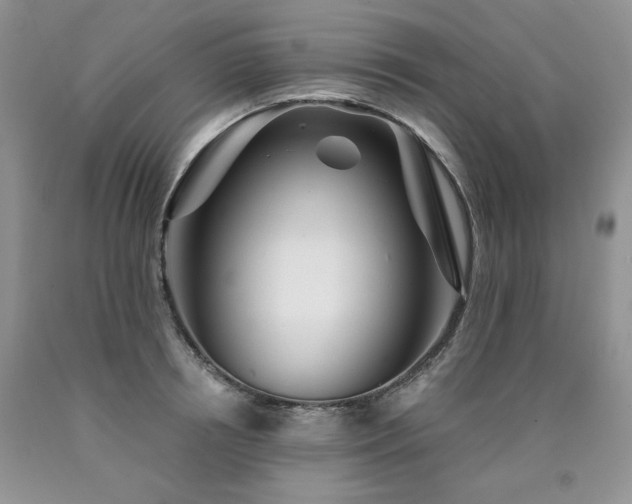 X0000090770850200707201437